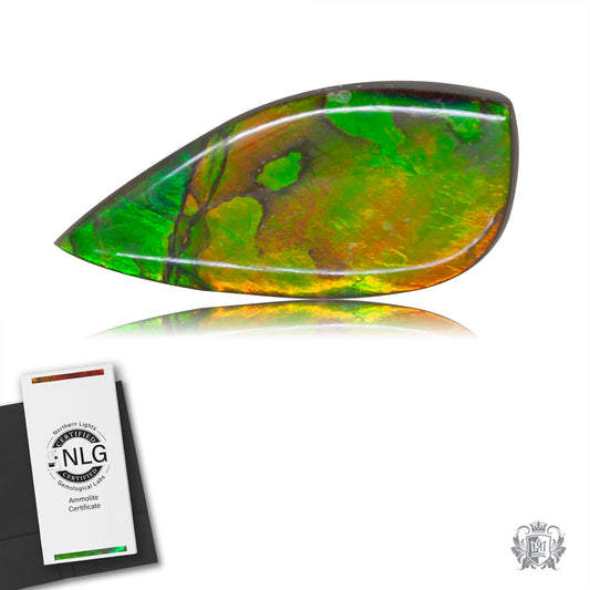 Ammolite Gem #011