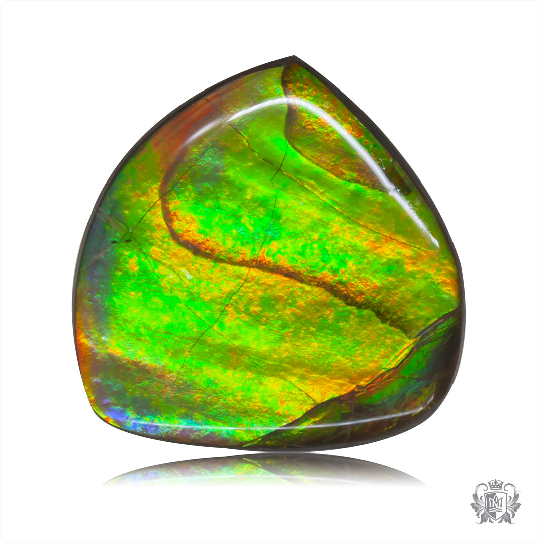 Ammolite Gem #017