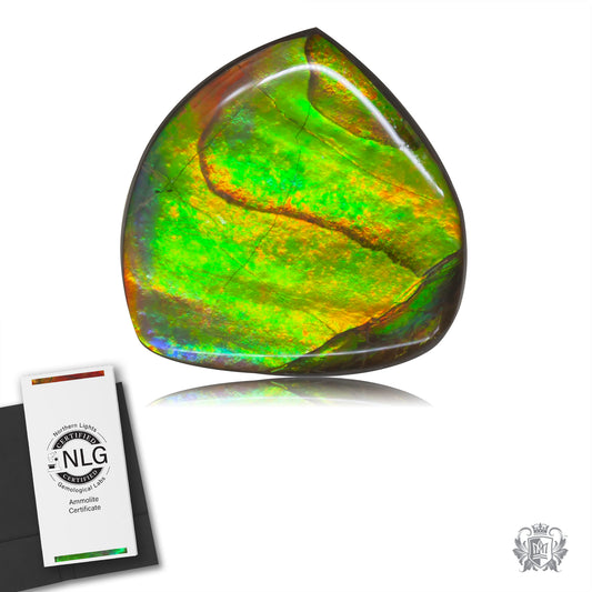 Ammolite Gem #017