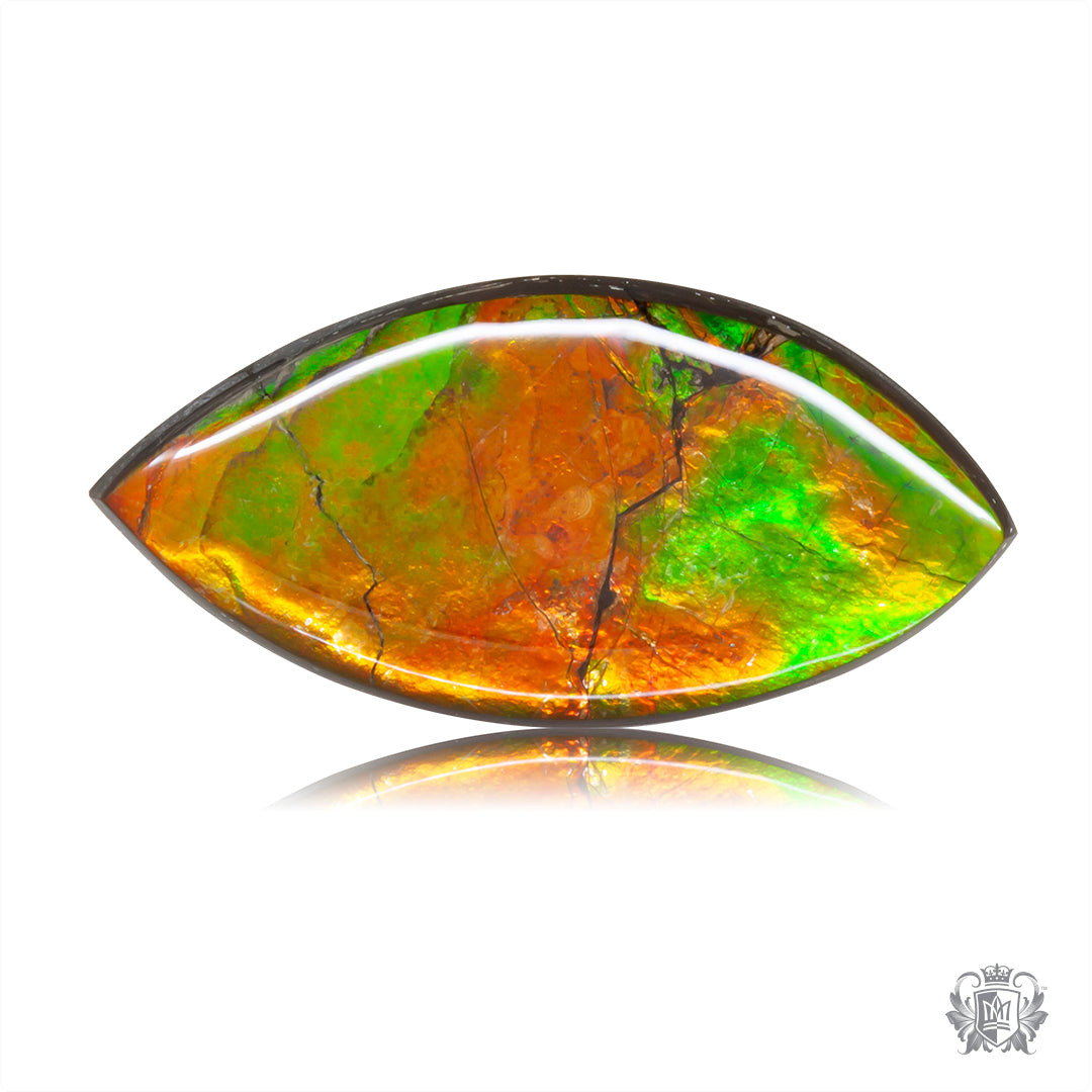 Ammolite Gem #022