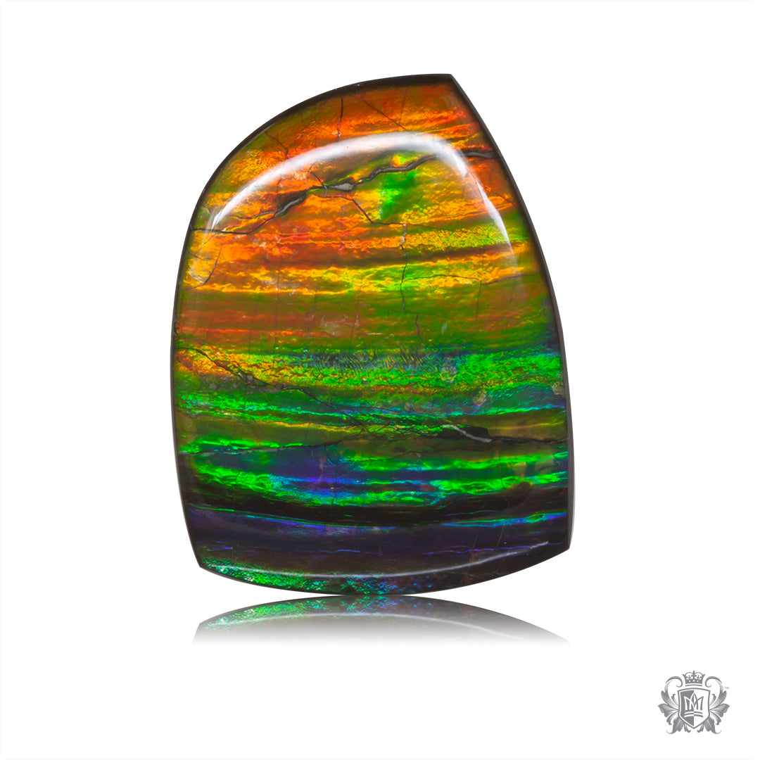 Ammolite Gem #023