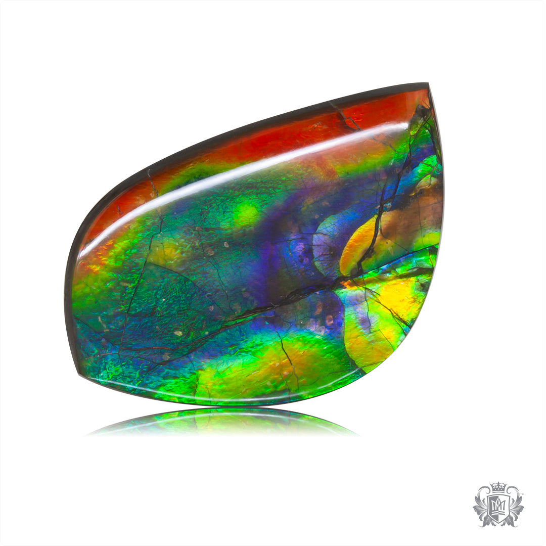 Ammolite Gem #027