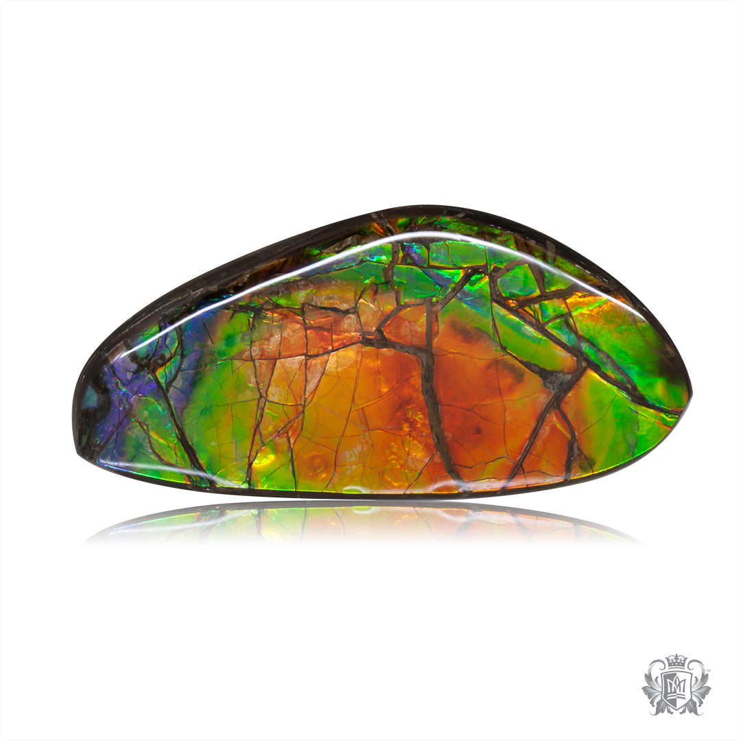 Ammolite Gem #030