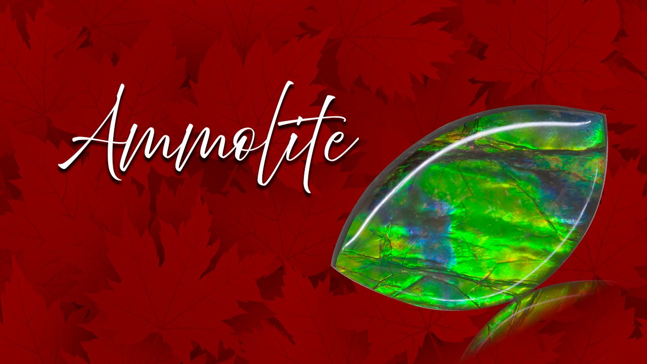 Ammolite Gems