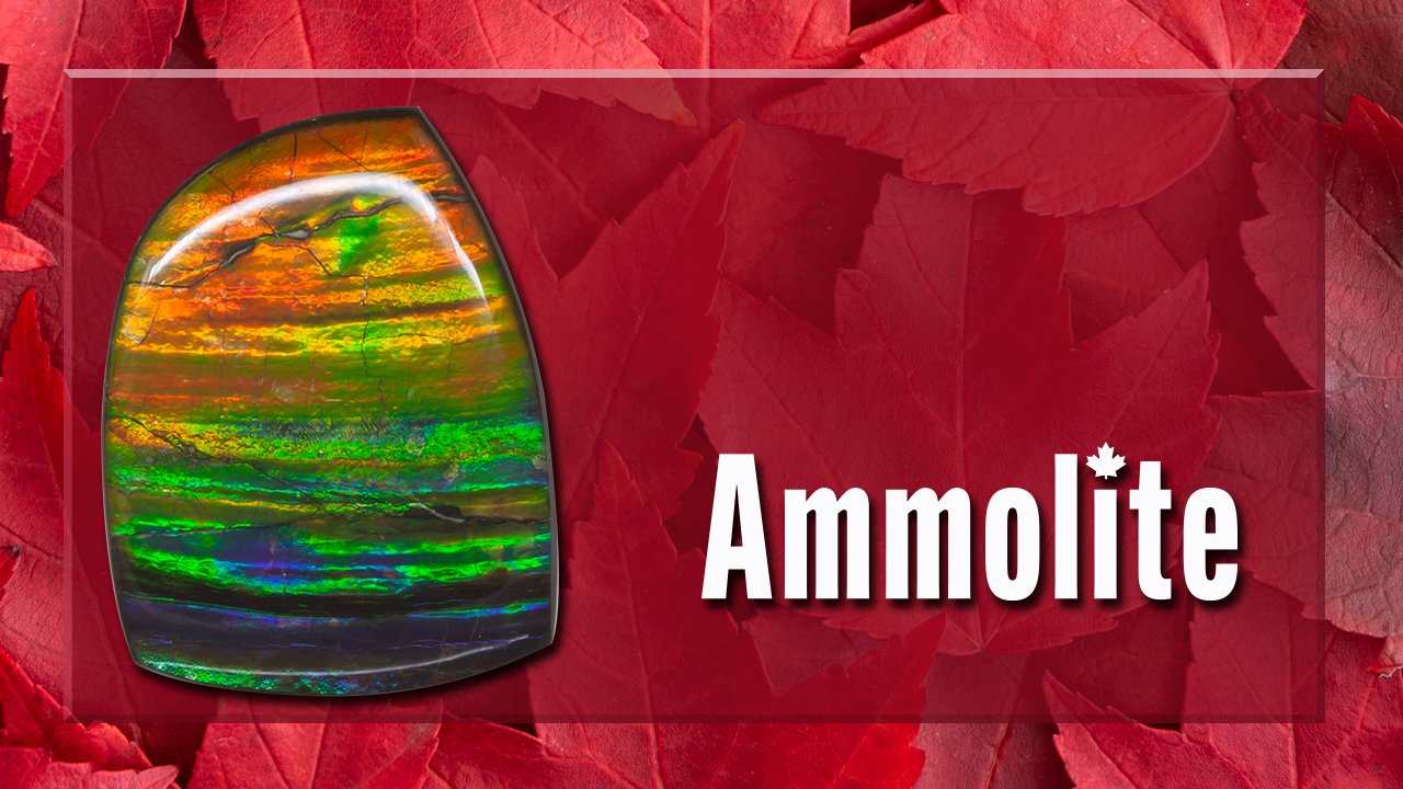 Ammolite Gems