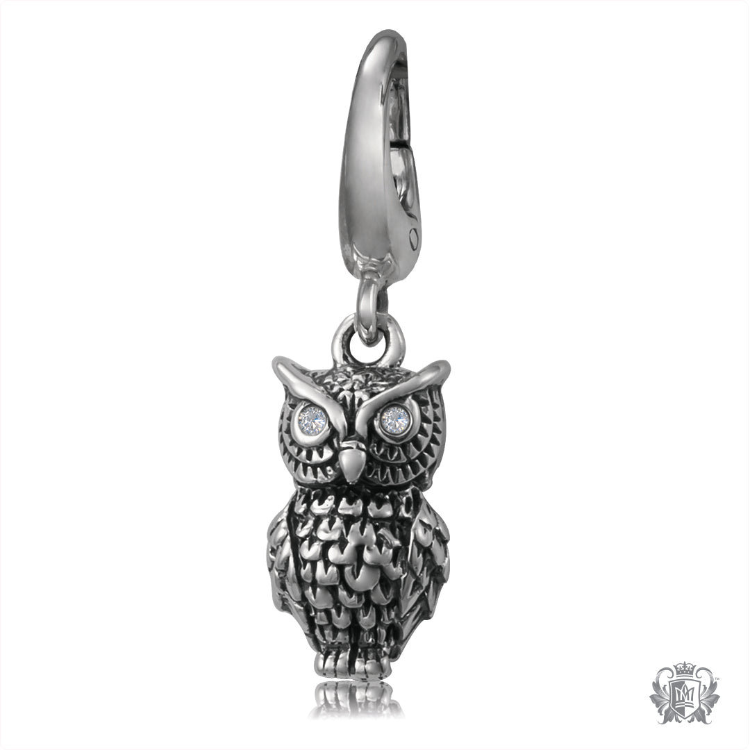 Wise Owl Charm