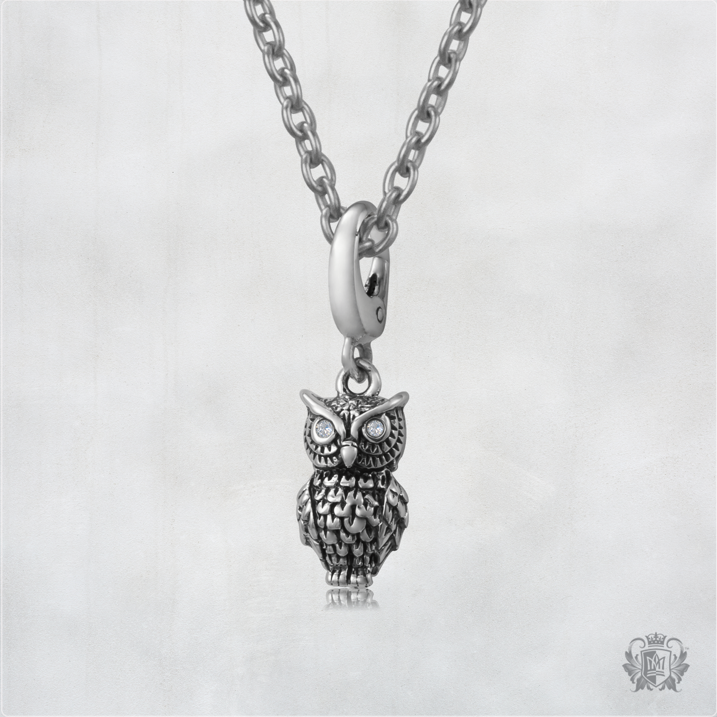 Wise Owl Charm