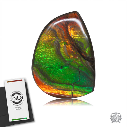 Ammolite Gem #001