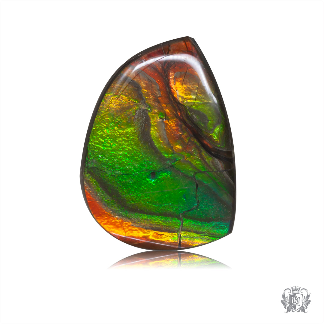 Ammolite Gem #001