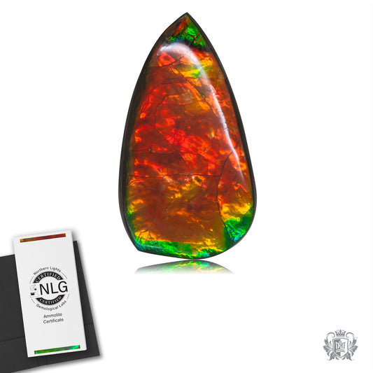 Ammolite Gem #002