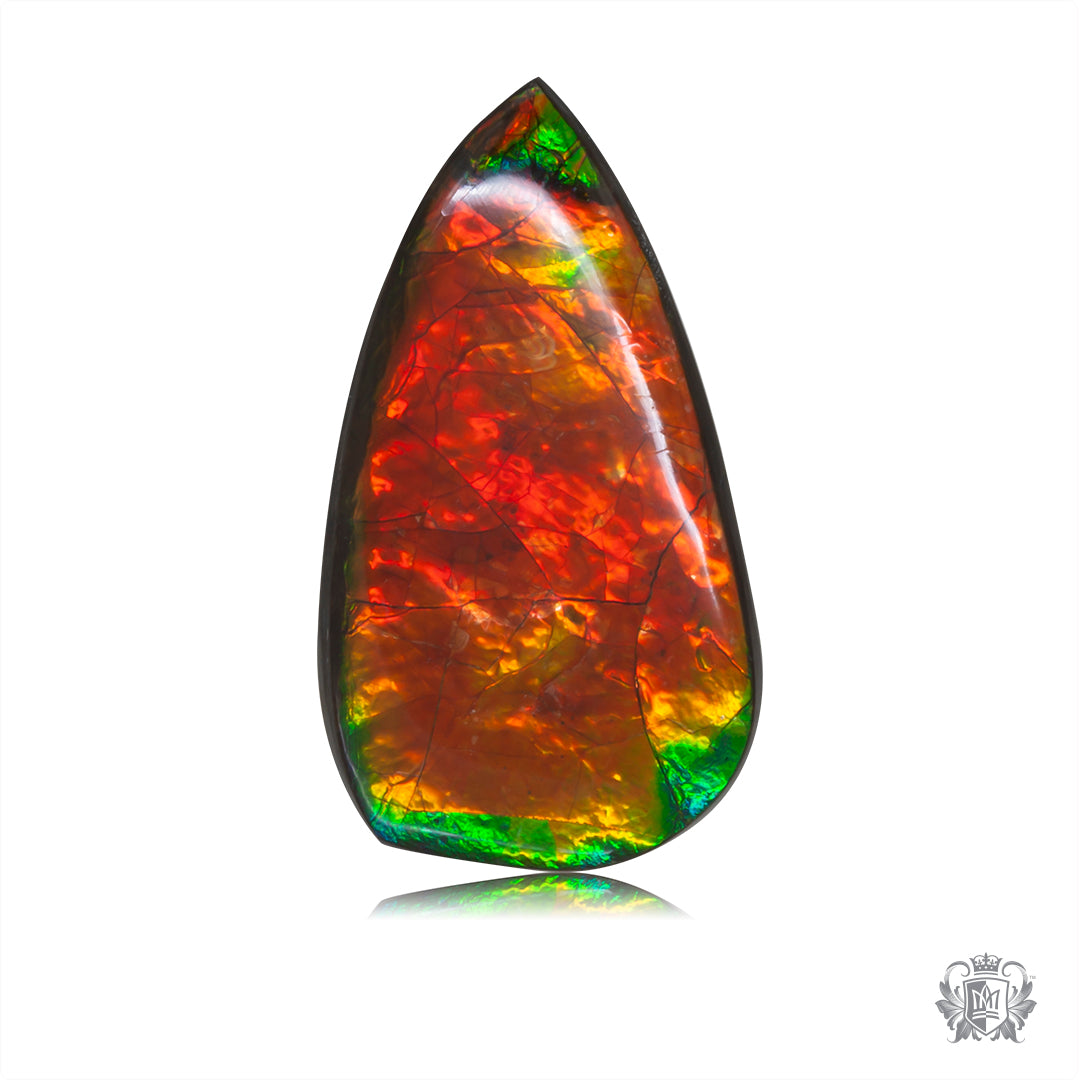 Ammolite Gem #002