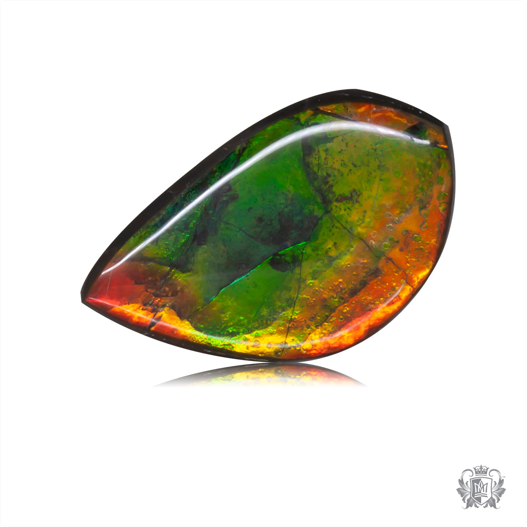 Ammolite Gem #003