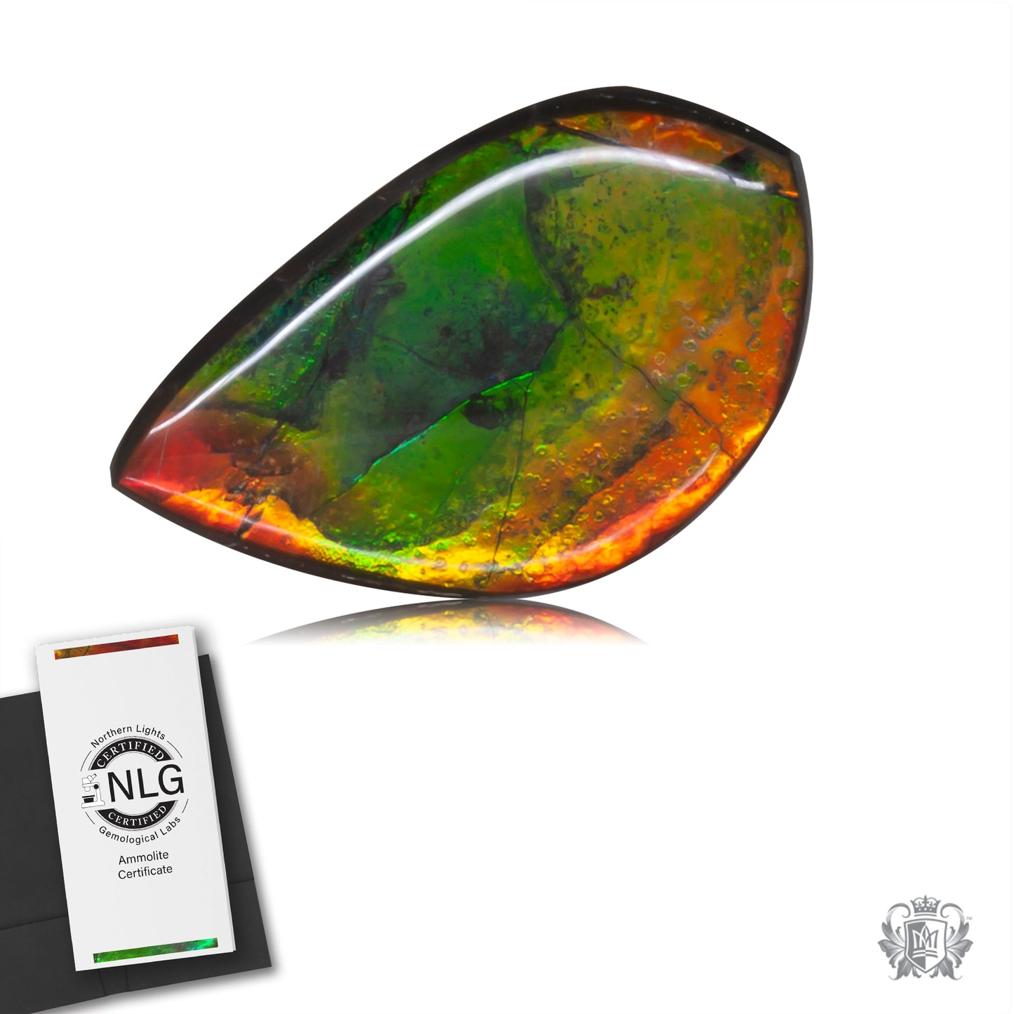 Ammolite Gem #003