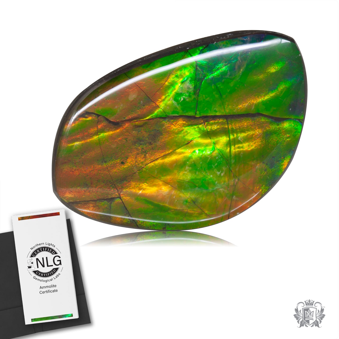 Ammolite Gem #004