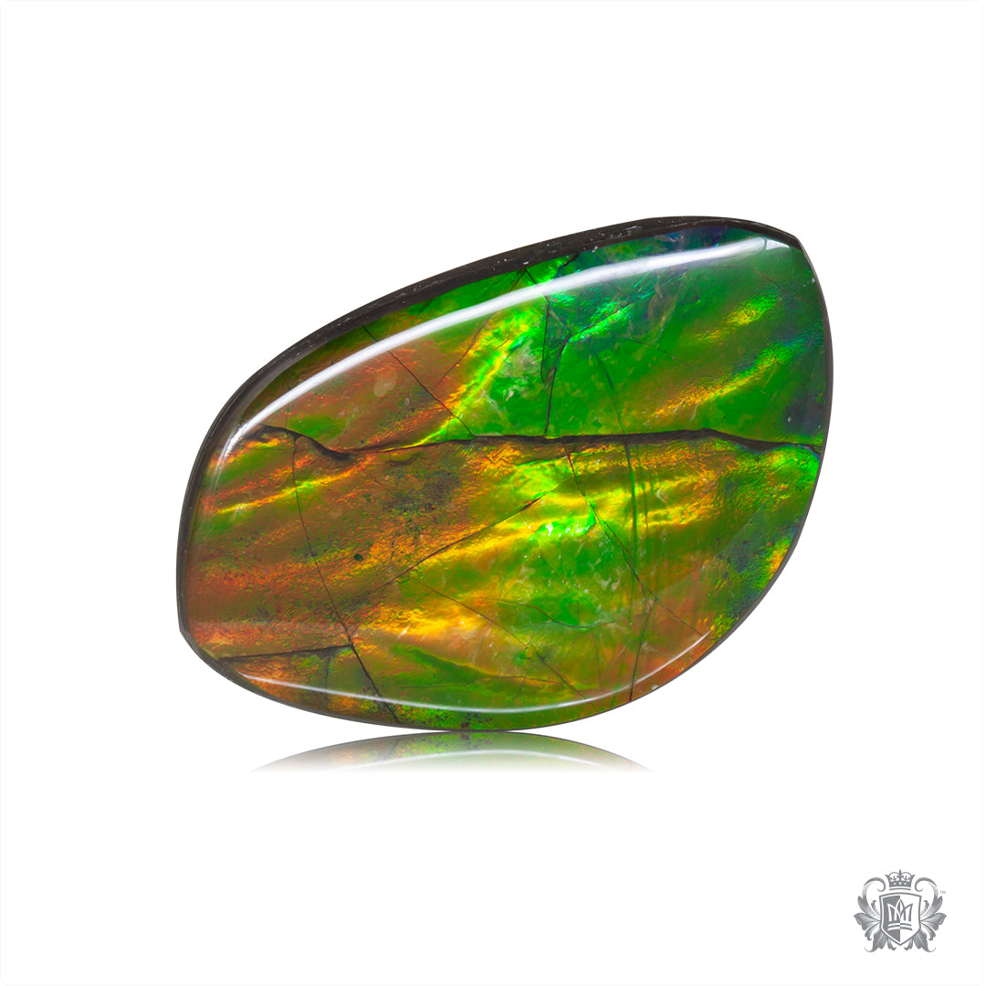 Ammolite Gem #004