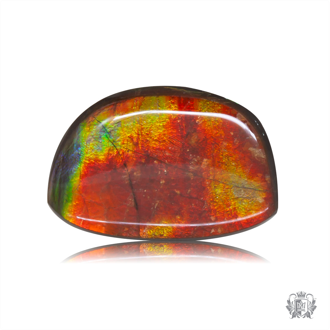 Ammolite Gem #005