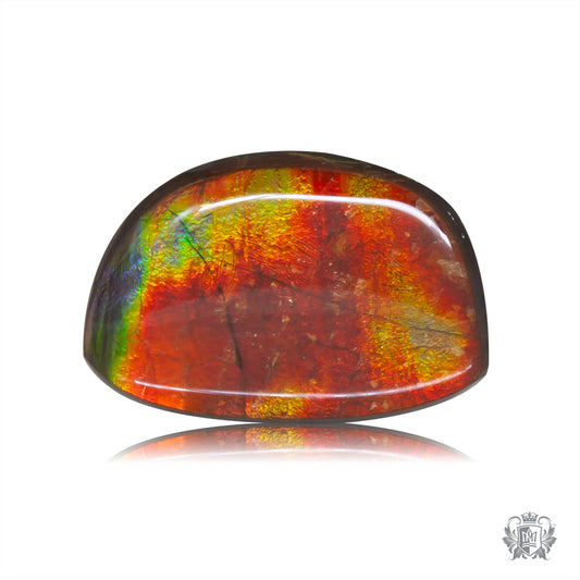 Ammolite Gem #005