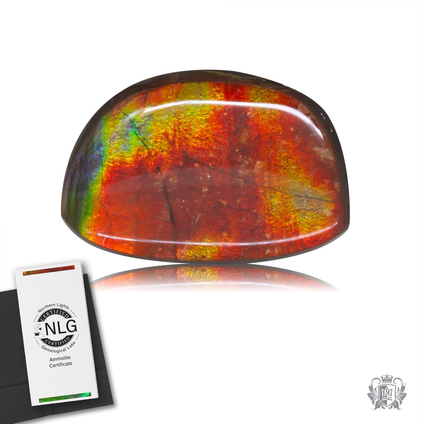 Ammolite Gem #005