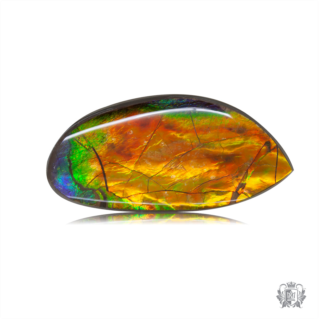 Ammolite Gem #006