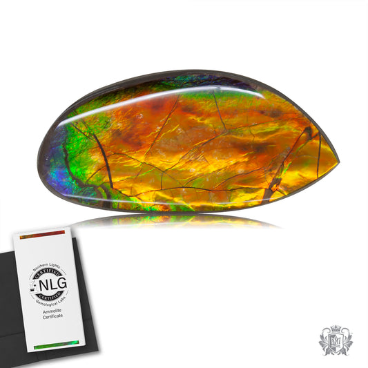 Ammolite Gem #006