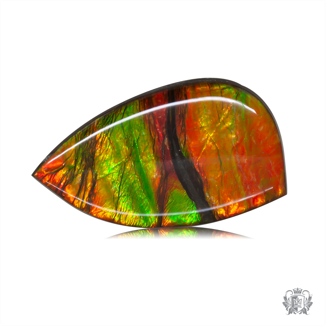 Ammolite Gem #007