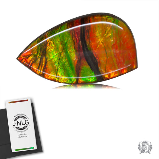 Ammolite Gem #007