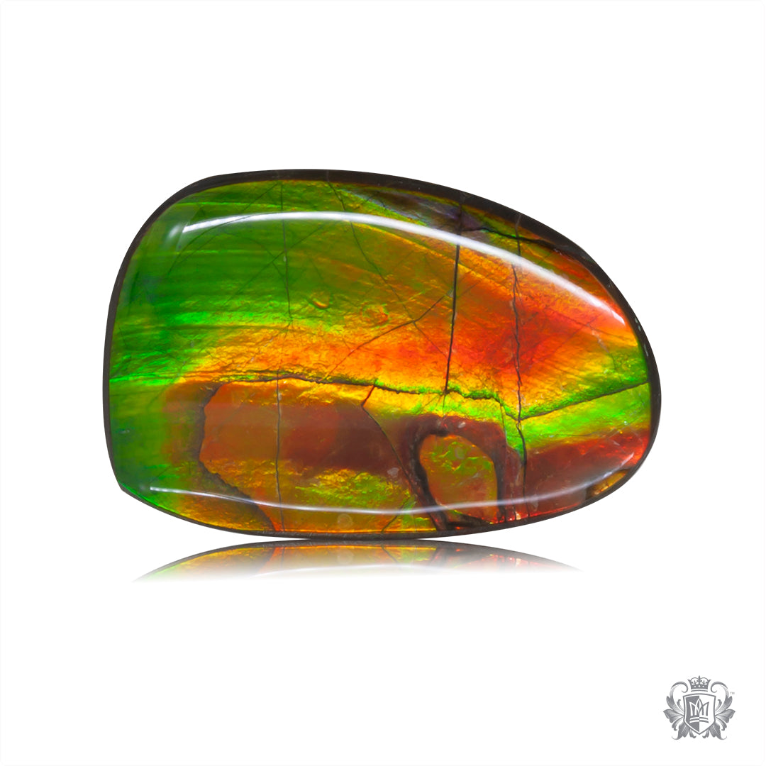 Ammolite Gem #008