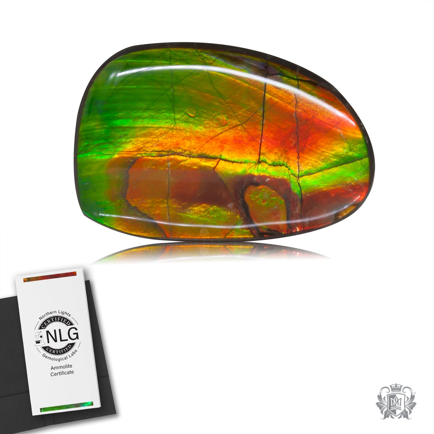 Ammolite Gem #008