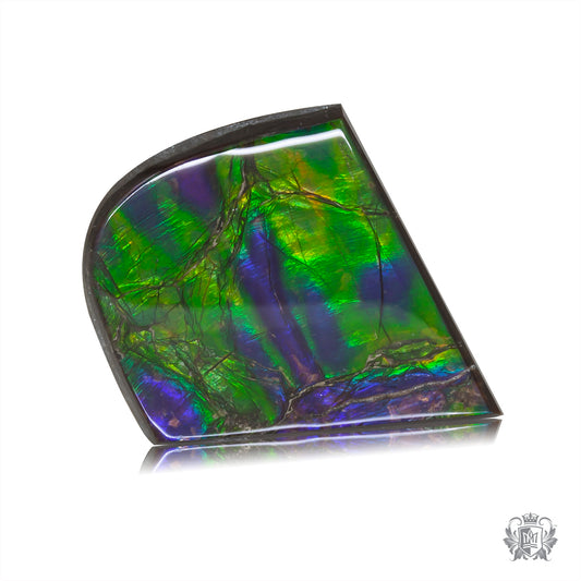 Ammolite Gem #009