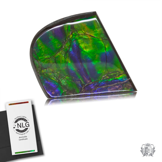 Ammolite Gem #009