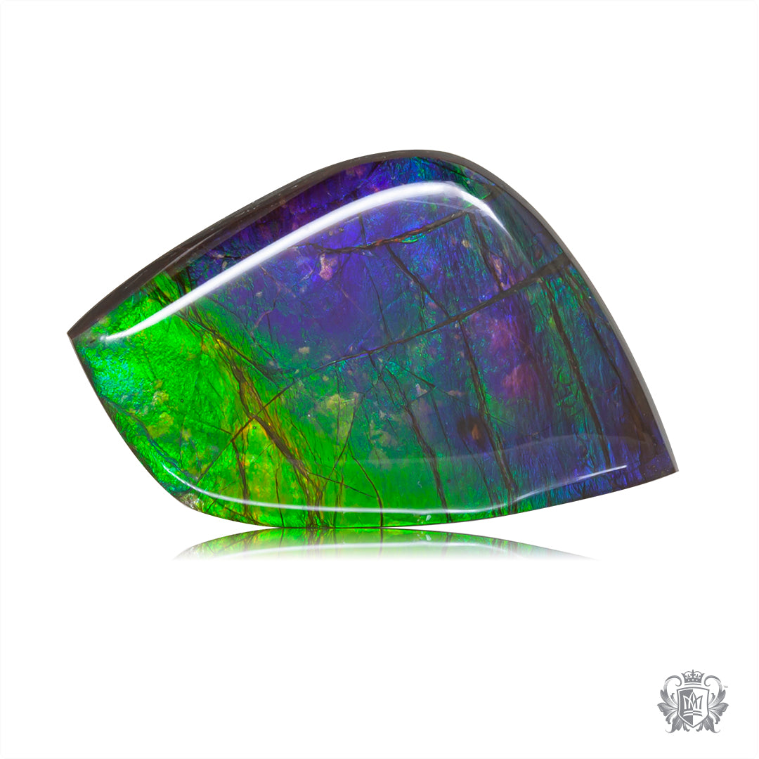 Ammolite Gem #010