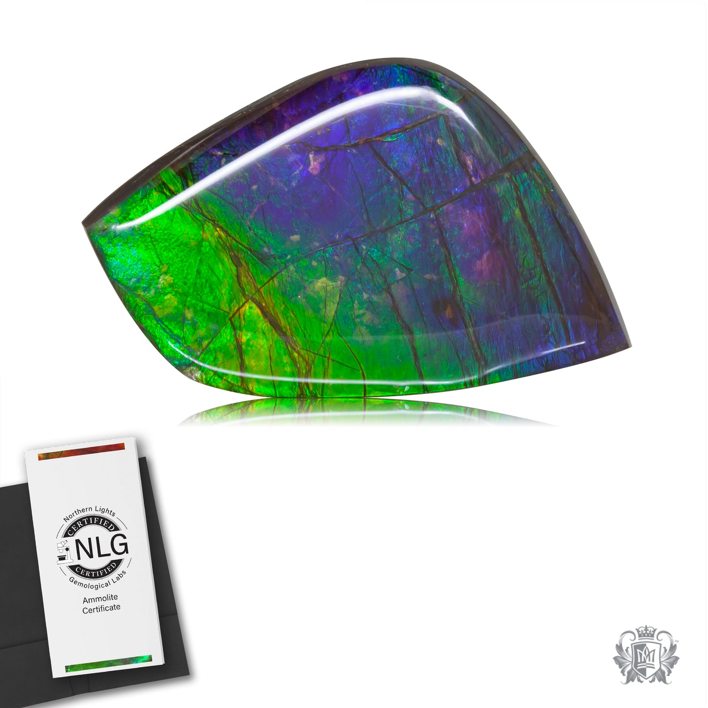 Ammolite Gem #010