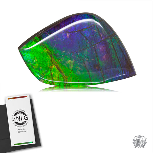 Ammolite Gem #010