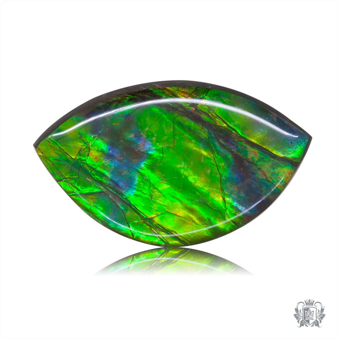 Ammolite Gem #012