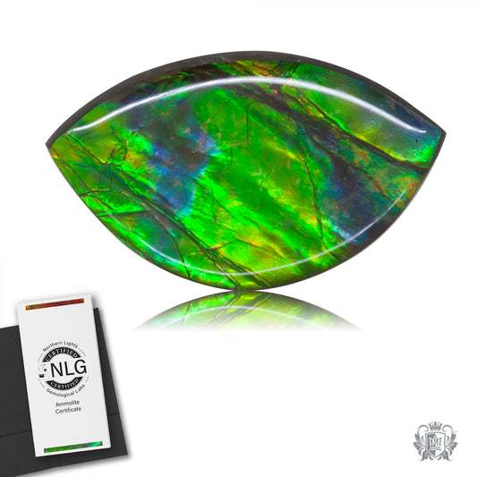 Ammolite Gem #012