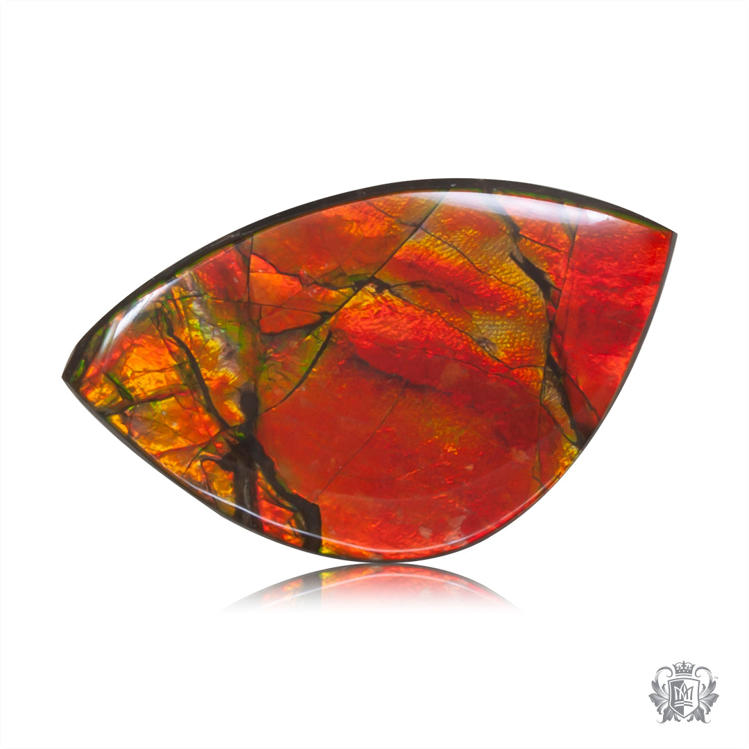 Ammolite Gem #013