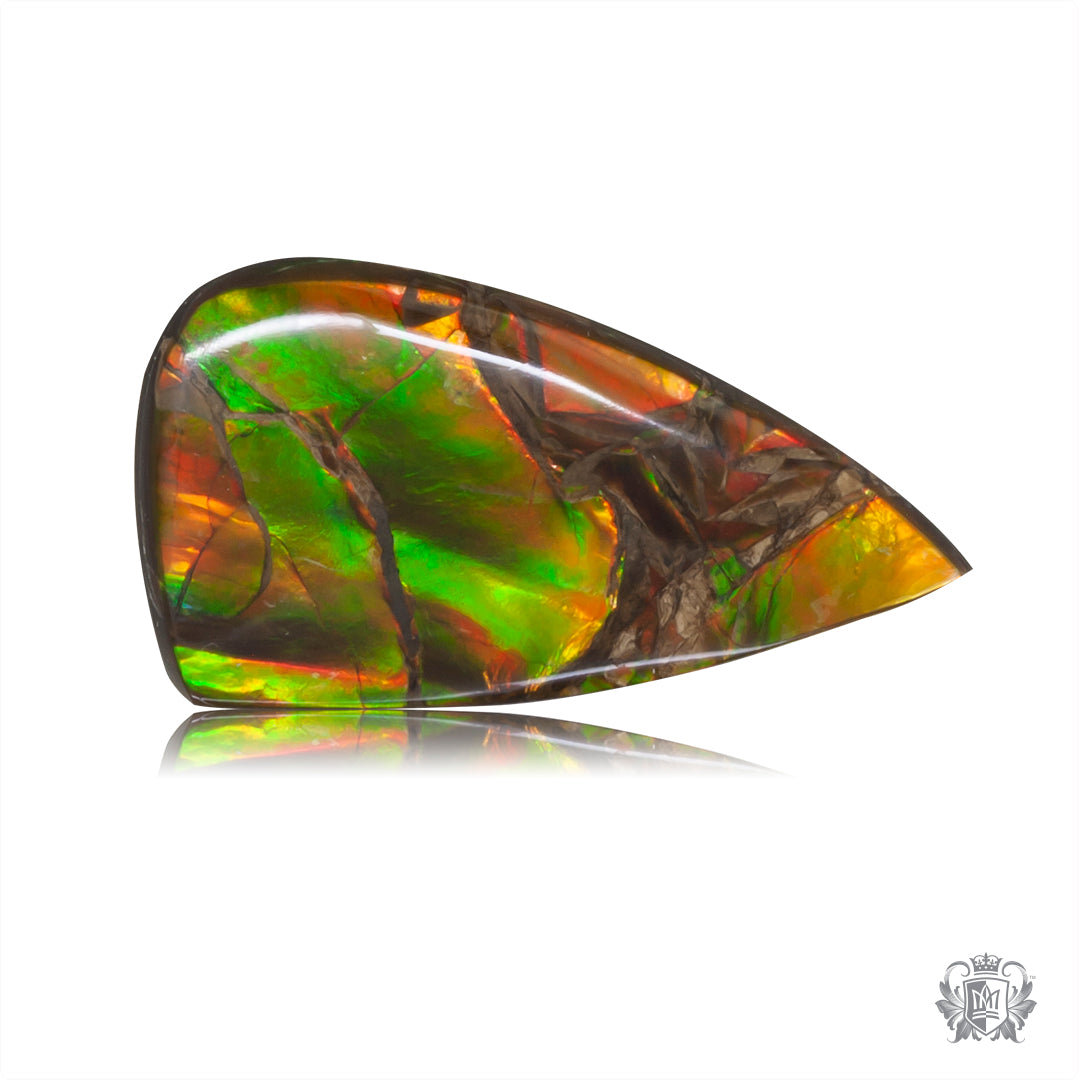 Ammolite Gem #014