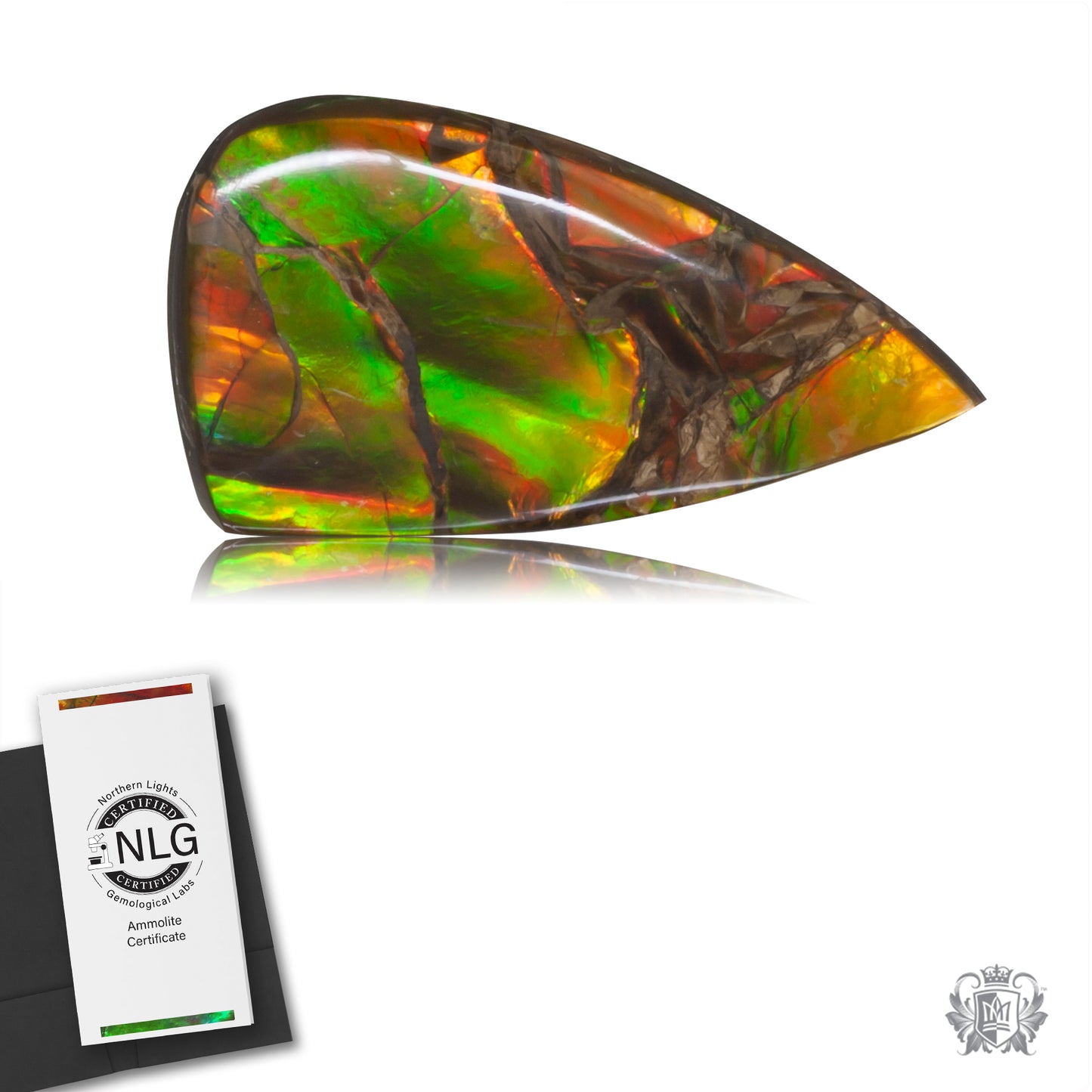 Ammolite Gem #014