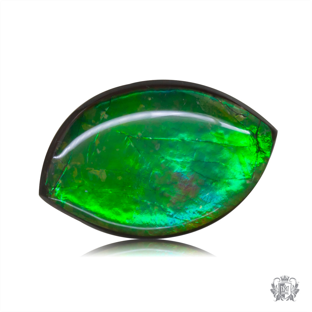 Ammolite Gem #015