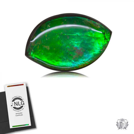 Ammolite Gem #015