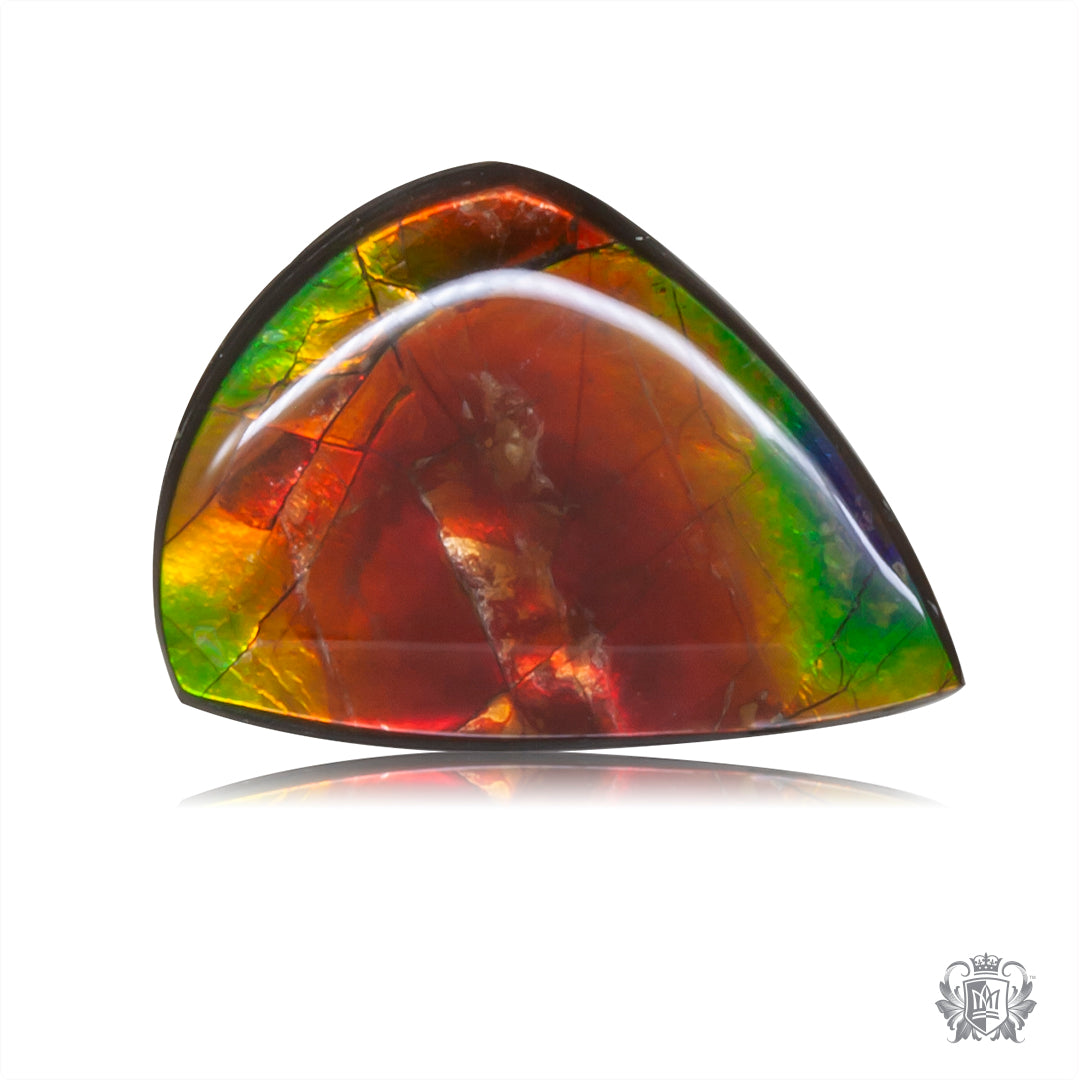 Ammolite Gem #016