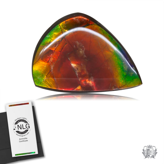 Ammolite Gem #016