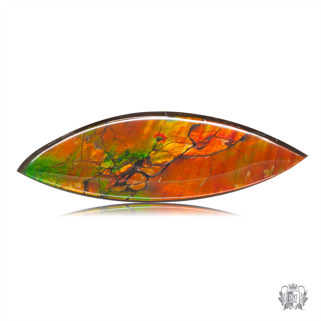 Ammolite Gem #018