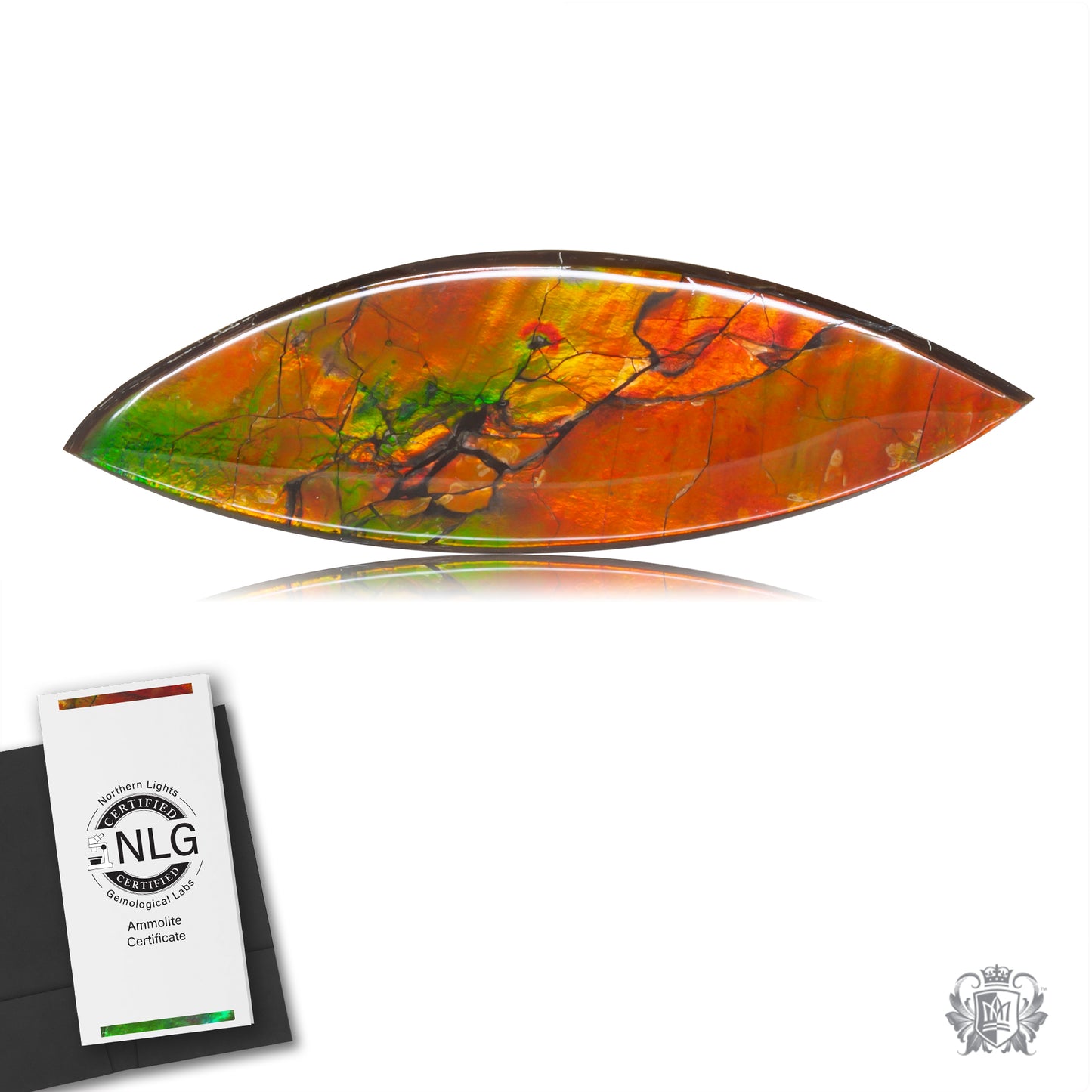 Ammolite Gem #018