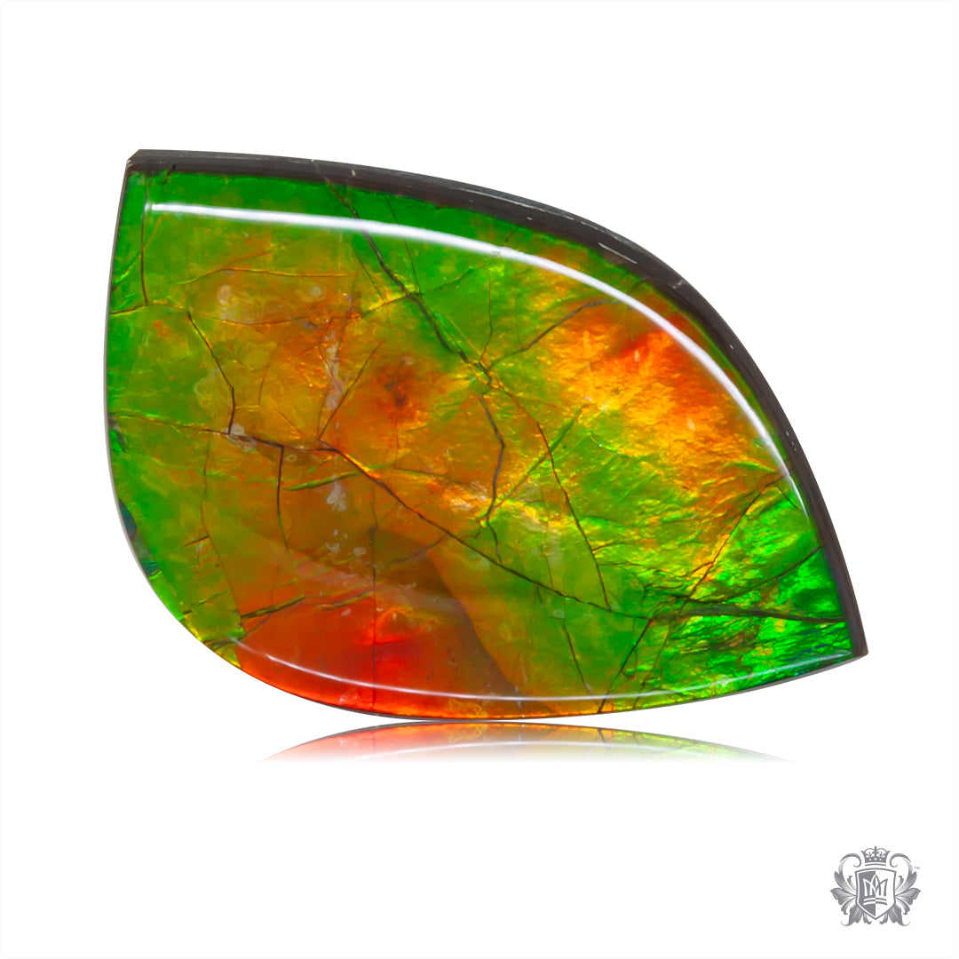 Ammolite Gem #019