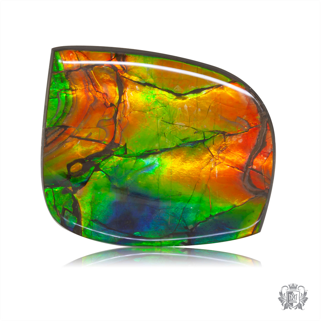 Ammolite Gem #020