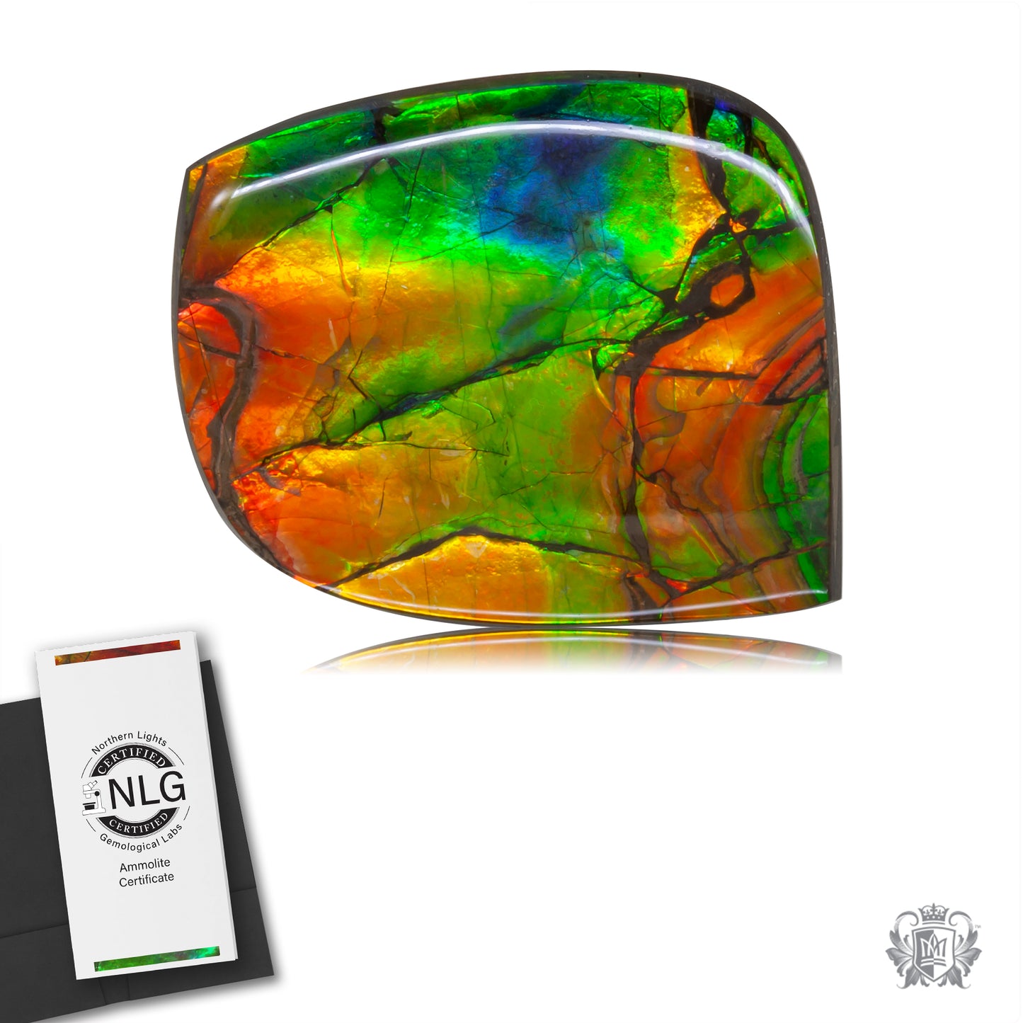 Ammolite Gem #020