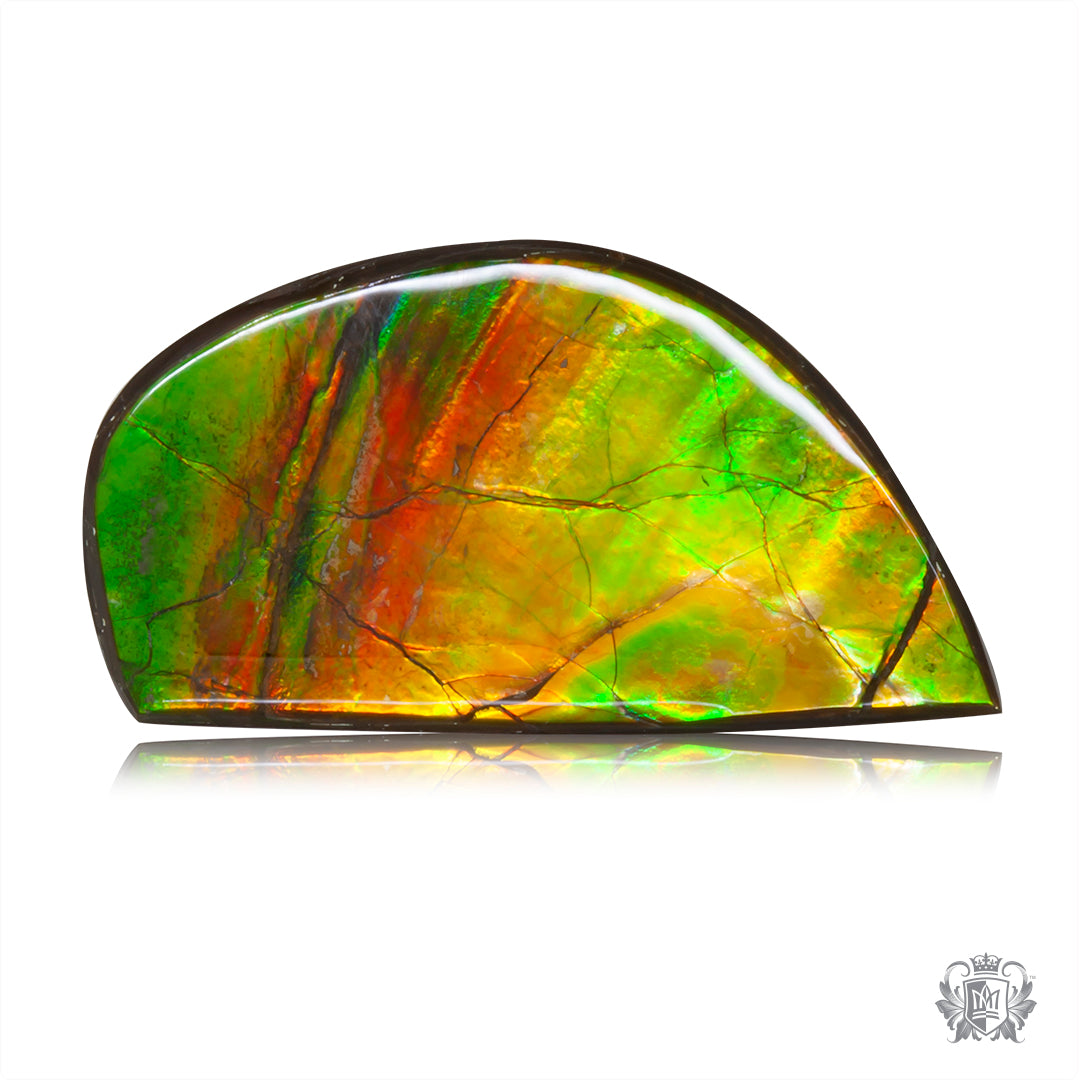 Ammolite Gem #021