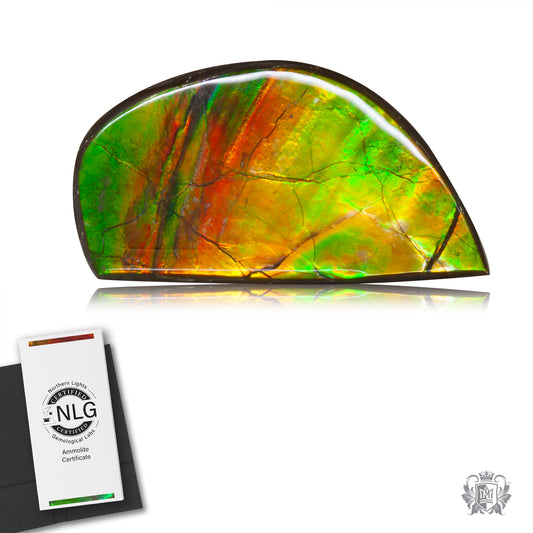 Ammolite Gem #021