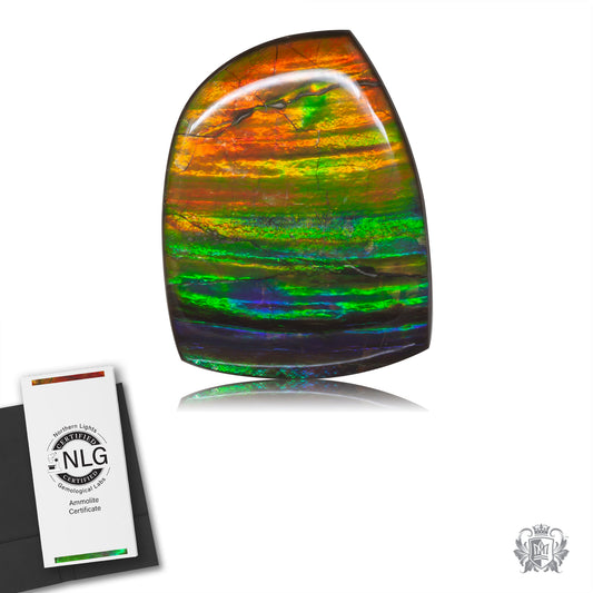 Ammolite Gem #023